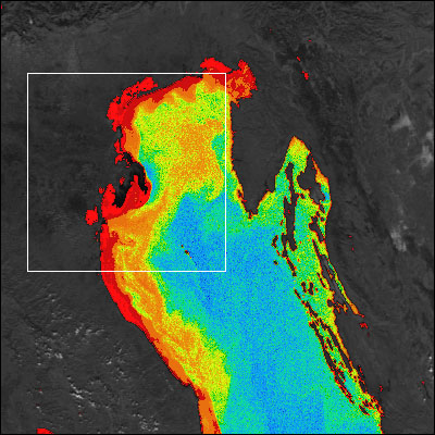 CZCS image of the Adriatic Sea