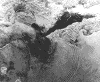 B/W Seasat image of the Gulf of California.