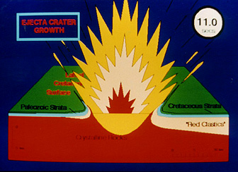 Panel 5 - Sequence of steps involved in the development of the Manson structure.