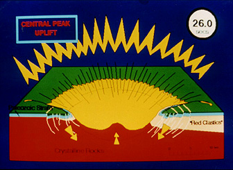 Panel 7 - Sequence of steps involved in the development of the Manson structure.