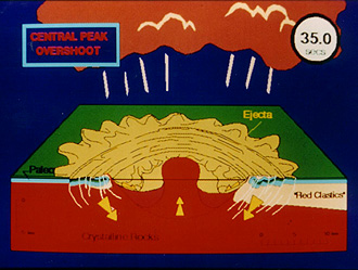 Panel 8 - Sequence of steps involved in the development of the Manson structure.