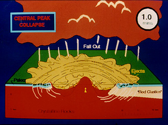 Panel 9 - Sequence of steps involved in the development of the Manson structure.