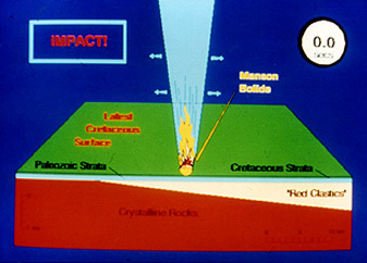 Panel 1 - Sequence of steps involved in the development of the Manson structure.