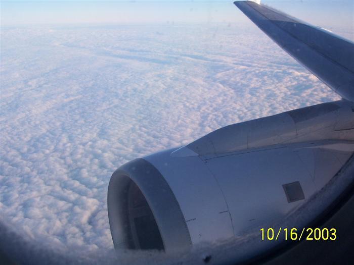 274.jpg