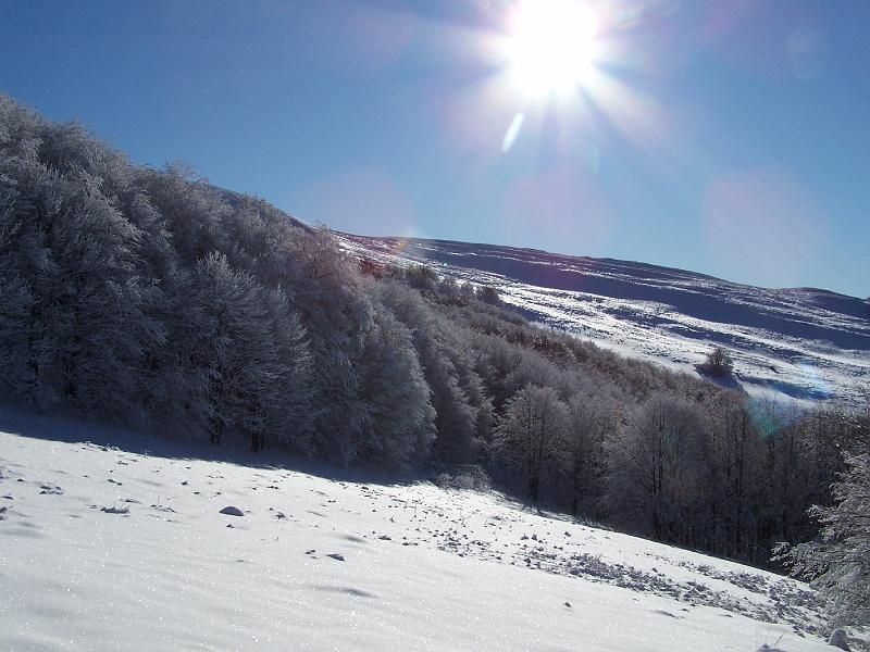 100_4019.JPG