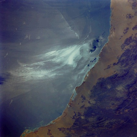 Surface Debris, Red Sea