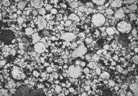 Thin section image of chondrites from the Tieschitz meteorite.