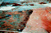 Example of a false color composite image.