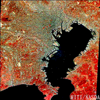JERS false color image of Tokyo and Tokyo Bay.