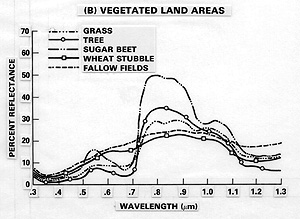 Spectral Curve (B): Vegetated Land Areas