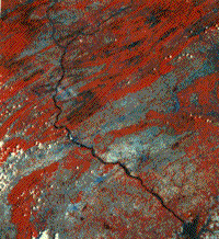 False color Landsat image of south central Pennsylvania, June 1977.