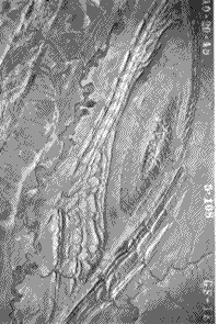 Stereoscopic image (A) of an anticline in Wyoming.