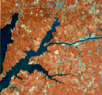 False color Landsat image of Elkton, Maryland (July 1977).