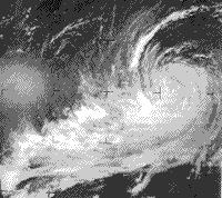 B/W ESSA image of Hurricane Faith, September 1 1966.