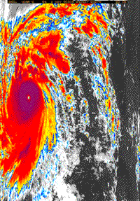 Colorized NOAA-6 IR image of Super Typhoon Angela, November 11 1995