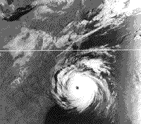 B/W AVHHR image of Hurricane Diana off of the East Coast of the U.S., September 12 1984.