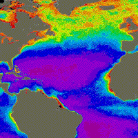 Colorized CZCS image showing chlorophyll concentrations in the Atlantic Ocean, Fall to Spring 1978-79.