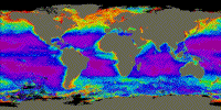 Colorized CZCS image showing the ditribution of chlorophyll on a global scale averaged between 1978 and 1986.