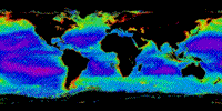Colorized SeaWiFS global map showing chlorophyll content, September 4 through November 20 1997.