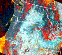 Color composite NOAA-12 AVHHR image of snow in the northwestern U.S., April 1995.