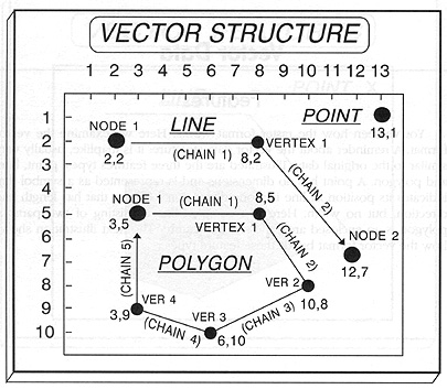 Vector Structure diagram.
