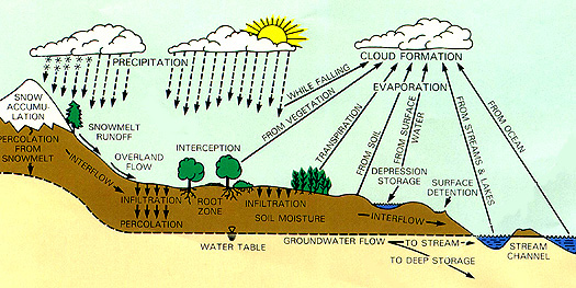 Water Cycle diagram.