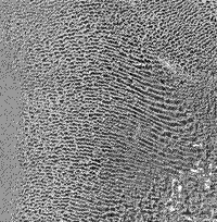 B/W Landsat image of the Rub'al Khali (Empty Quarter) in the southern Arabian Peninsula.