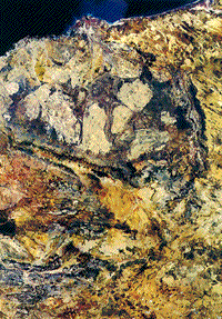 Color Landsat mosaic image of the Western Australian shield.