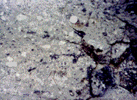Color photograph example of fragmental rock at the Ries crater.