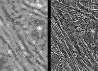 B/W image pair comparing a Galileo and Voyager 2 image of the same area on the surface of Ganymede.