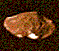 Color image of Amalthea, one of the smaller satellites of Jupiter.