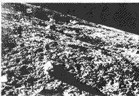 B/W Lunar 9 photograph of the mare lavas in Oceanus Procellarum, 1966.