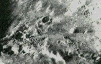B/W Mariner 6 image of the frost-covered south polar region of Mars.