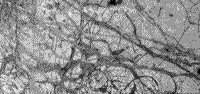 Higher resolution B/W image of the surface of Europa showing several orders of fracturing.