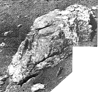 B/W Surveyor 1 closeup photograph of individual rocks.