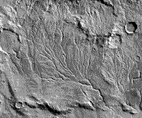 B/W Viking Orbiter image showing significant water activity as evidenced by the types of dendritic channelling (B).