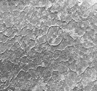 B/W image showing an example of polygonal terrain on the surface of Mars.