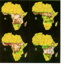 General classification of land-cover types for all of Africa for all four seasons, 1982-1983.