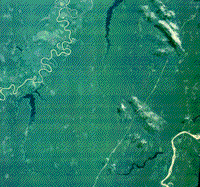 Natural color composite Landsat TM image of the Amazon River region, South America.