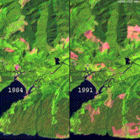 Comparison of color TM images near Port Renfro, British Columbia (1984 and 1991).