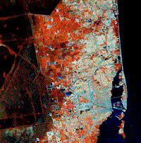 False color Landsat TM subscene image of Miami and part of the Florida Gold Coast.