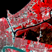 False color composite TM Landsat 5 subset image of New Orleans, March 24 1985.