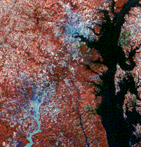 Landsat-1 subscene of Baltimore, Maryland, and Washington, DC, October 11 1972.