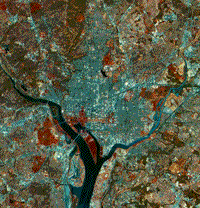 20m False color SPOT image of Washington, DC.