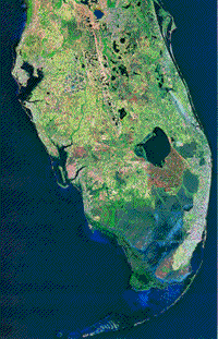 Quasi-natural color Landsat mosaic of Miami, Florida.
