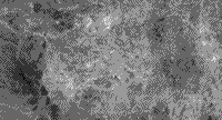 B/W Landsat TM Band 3 image of White Mountain, Utah- Ratio (4/2)