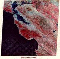 Color Landsat image of the San Francisco Bay area, October.