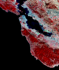False color Landsat closeup of the Bay area.