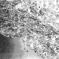 B/W photomosaic of the Los Angeles basin, the Transverse Ranges and adjacent segments of California.