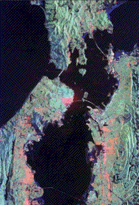 Color multiband SIR-C image of the San Francisco Bay area.